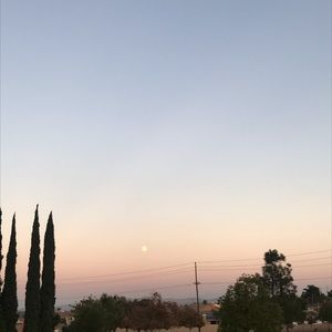 Meet your Posher, Luis